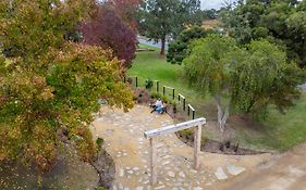 Longview Vineyard